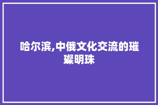 哈尔滨,中俄文化交流的璀璨明珠
