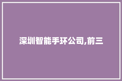 深圳智能手环公司,前三