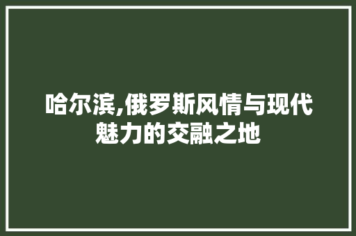 哈尔滨,俄罗斯风情与现代魅力的交融之地
