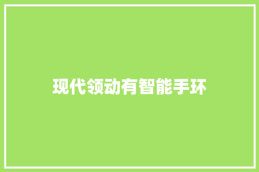 现代领动有智能手环