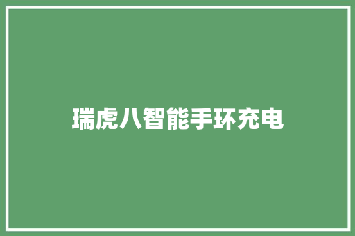 瑞虎八智能手环充电  第1张