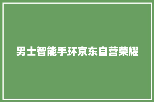男士智能手环京东自营荣耀