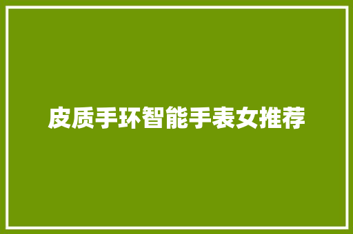 皮质手环智能手表女推荐  第1张