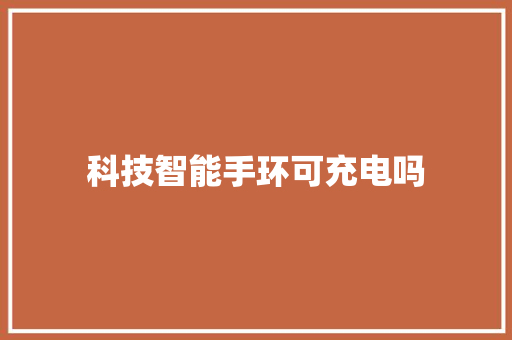科技智能手环可充电吗