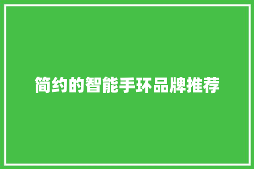 简约的智能手环品牌推荐