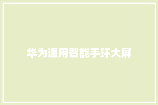 华为通用智能手环大屏