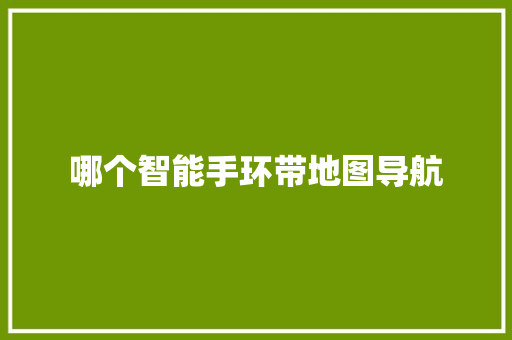 哪个智能手环带地图导航  第1张