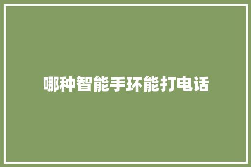 哪种智能手环能打电话  第1张