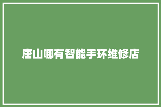 唐山哪有智能手环维修店