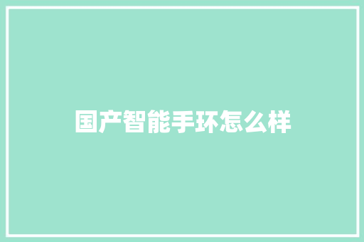 国产智能手环怎么样  第1张