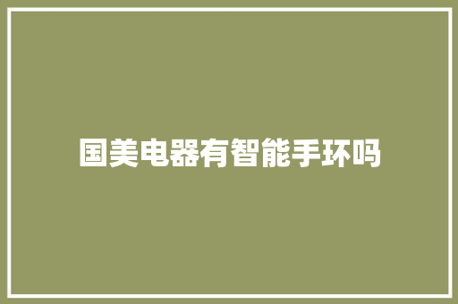 国美电器有智能手环吗