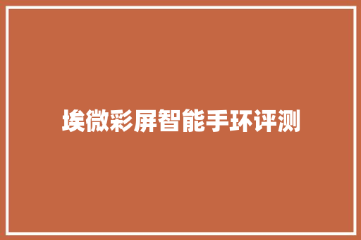埃微彩屏智能手环评测