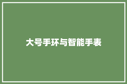大号手环与智能手表