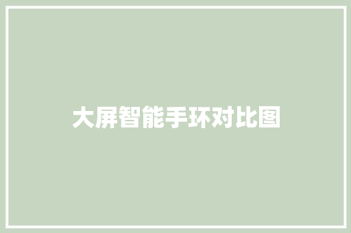 大屏智能手环对比图  第1张