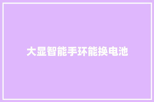 大显智能手环能换电池  第1张