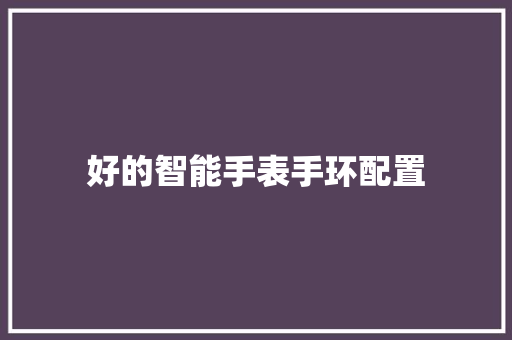 好的智能手表手环配置  第1张