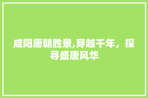 咸阳唐朝胜景,穿越千年，探寻盛唐风华