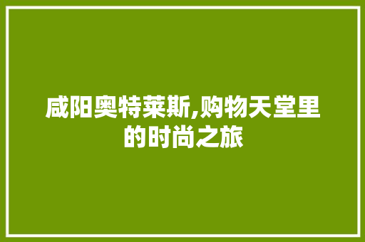 咸阳奥特莱斯,购物天堂里的时尚之旅