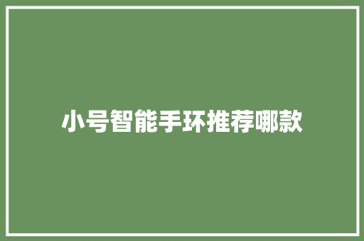 小号智能手环推荐哪款  第1张