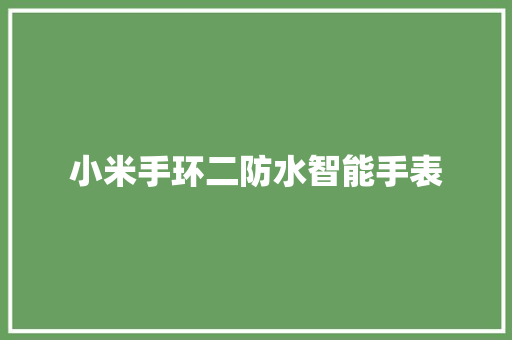 小米手环二防水智能手表