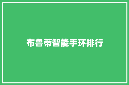 布鲁蒂智能手环排行