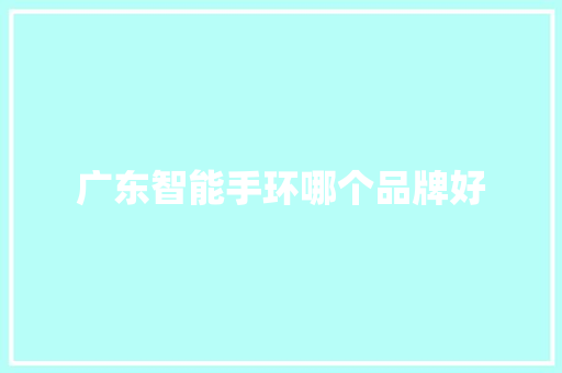 广东智能手环哪个品牌好