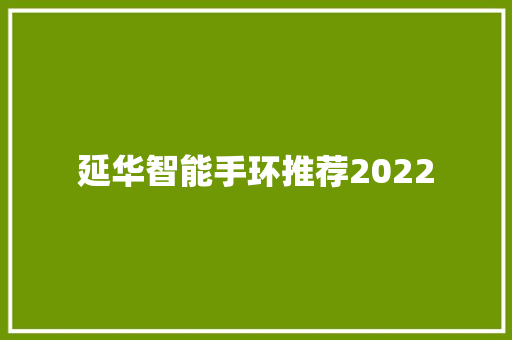 延华智能手环推荐2022  第1张