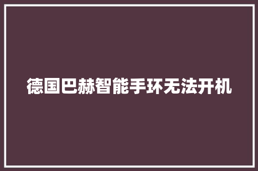 德国巴赫智能手环无法开机