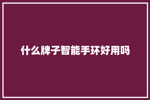 什么牌子智能手环好用吗