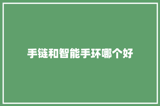 手链和智能手环哪个好  第1张
