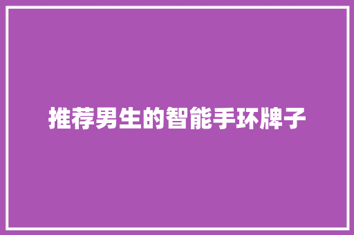 推荐男生的智能手环牌子  第1张