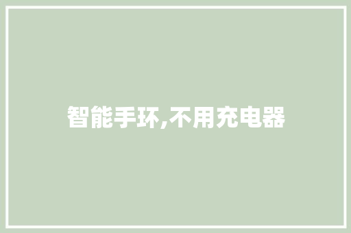 智能手环,不用充电器