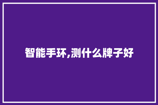 智能手环,测什么牌子好