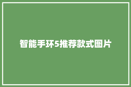 智能手环5推荐款式图片