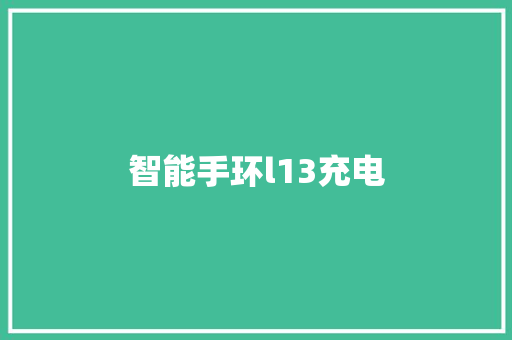 智能手环l13充电  第1张
