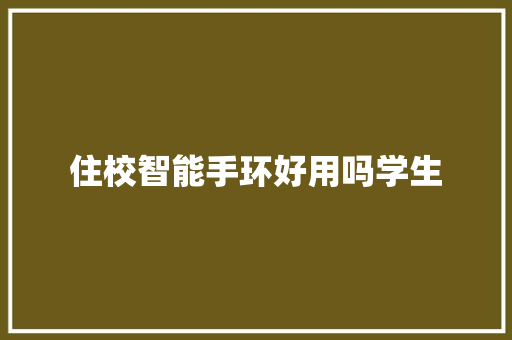 住校智能手环好用吗学生