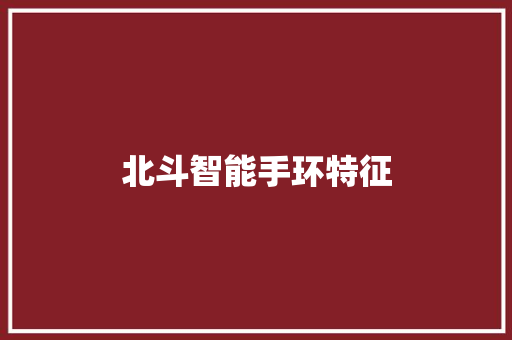 北斗智能手环特征