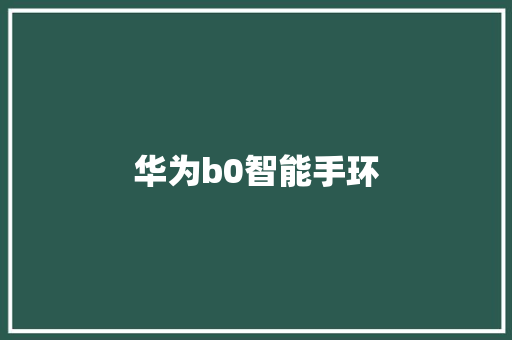 华为b0智能手环