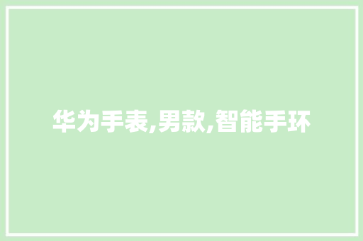 华为手表,男款,智能手环
