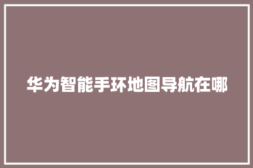华为智能手环地图导航在哪