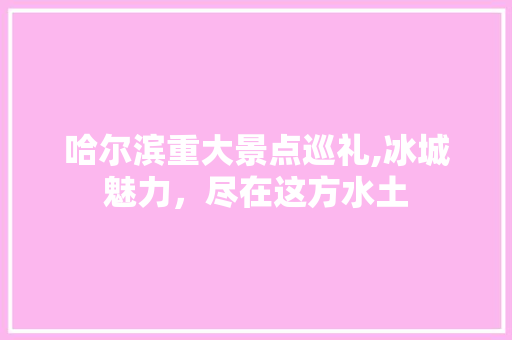 哈尔滨重大景点巡礼,冰城魅力，尽在这方水土