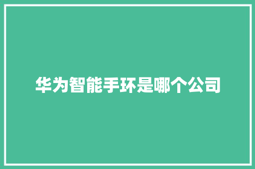 华为智能手环是哪个公司