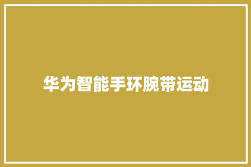 华为智能手环腕带运动