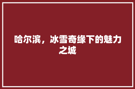 哈尔滨，冰雪奇缘下的魅力之城