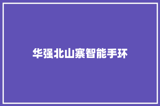 华强北山寨智能手环