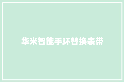 华米智能手环替换表带