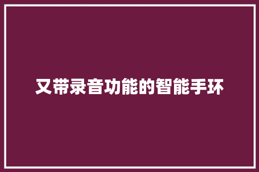 又带录音功能的智能手环  第1张