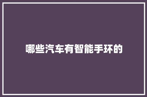 哪些汽车有智能手环的