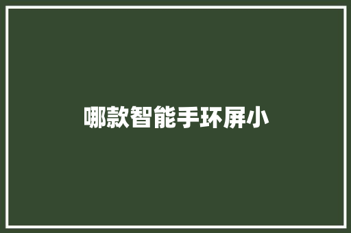哪款智能手环屏小