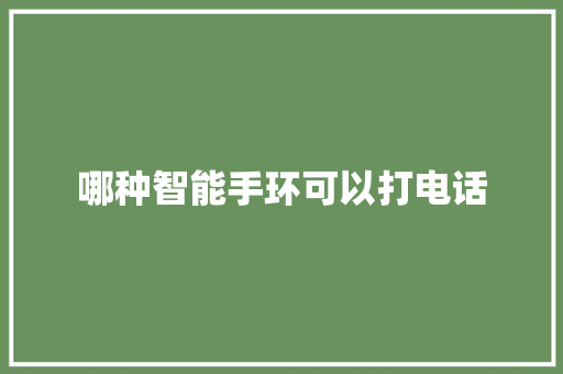 哪种智能手环可以打电话